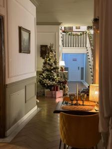 ein Wohnzimmer mit einem Weihnachtsbaum in Theoyer in der Unterkunft La Fontaine in Hunedoara