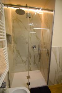 a shower with a glass door in a bathroom at SWEET Alps Apartment CCM in Madonna di Campiglio