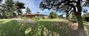 a house in the middle of a yard with a tree at Lo de Nunú in Tandil