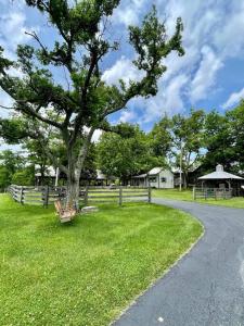 LawrenceburgにあるBourbon Trail Cabin on the Farmの道路横の芝生に座る木 +32枚の写真