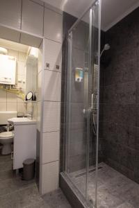 a bathroom with a shower and a toilet and a sink at Apartmani Aleksandar in Vršac