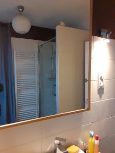 a bathroom with a mirror and a sink at Chambres Zola in Nantes +113 photos
