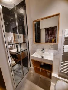 a bathroom with a shower and a sink and a mirror at Hotel Du Cygne Tours in Tours +71 photos