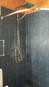 a shower with a shower head in a bathroom at Habitación en casco histórico in Seville