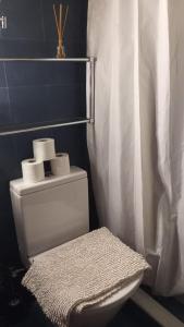 a bathroom with a toilet with a shower curtain at Habitación en casco histórico in Seville