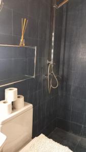 a bathroom with a shower and a toilet in it at Habitación en casco histórico in Seville