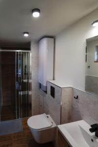 a bathroom with a toilet and a shower and a sink at Brzozowe Wzgórze Domki w Chocieszowie in Polanica-Zdrój