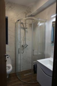 a bathroom with a shower and a toilet and a sink at Pensiunea Cascada in Borşa