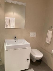 a bathroom with a white sink and a toilet at Private room with work space near Zurich in Adliswil