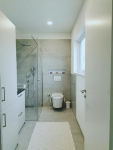 a bathroom with a glass shower and a toilet at Ferienwohnung Martinsesch in Bad Schussenried