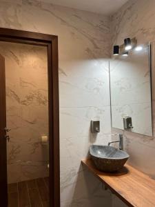 a bathroom with a stone sink and a mirror at Pensiunea Cascada in Borşa