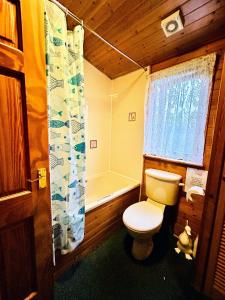 a small bathroom with a toilet and a shower at 'Mallard' Secluded Rustic Lodge - Digital Detox Paradise in Allerthorpe