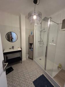 a bathroom with a shower and a sink and a mirror at Joli T2 en plein cœur du Havre in Le Havre