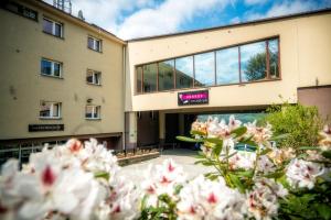 ヴィスワにあるKrokusのピンクの花が目の前に咲く建物