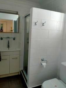 a bathroom with a toilet and a sink and a mirror at Oakey Motel in Oakey