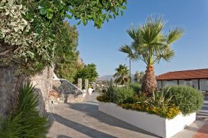 a garden with a palm tree and a building at Rastoni in Spílion