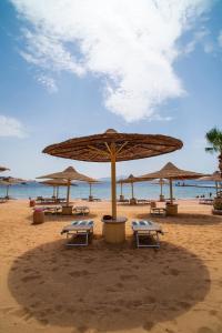 a group of umbrellas and chairs on a beach at Sierra Sharm El Sheikh in Sharm El Sheikh