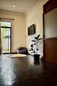 ein Wohnzimmer mit einer Topfpflanze und einer Tür in der Unterkunft Surf N Summer in Hikkaduwa