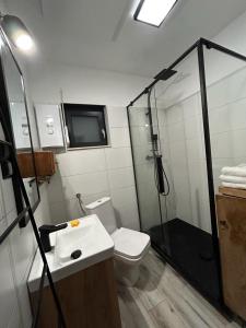 y baño con ducha, aseo y lavamanos. en Sowi Sierp Domek w Górach Sowich, en Sierpnica