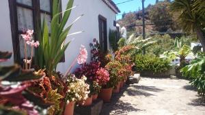 Ogród w obiekcie Casitas La Montañita