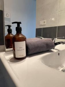 a bottle of soap sitting on a bathroom sink at Magnifique Appartement Hypercentre - Le Charly in Pau