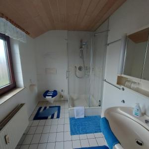 ein Bad mit einer Dusche, einem Waschbecken und einem WC in der Unterkunft Ferienwohnung Flegessen Weserbergland in Bad Münder am Deister