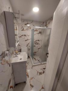 a bathroom with a sink and a mirror at Topola in Vračar (historical)