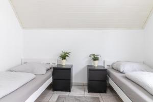 Ferienwohnung/Messewohnung في كولونيا: سريرين عليها نباتات في غرفة بيضاء