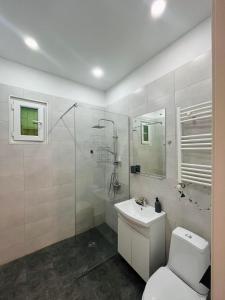 La salle de bains est pourvue de toilettes, d'une douche et d'un lavabo. dans l'établissement Cozy apartment Pier Kobakhidze, à Tbilissi