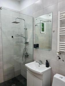 La salle de bains est pourvue d'une douche, d'un lavabo et de toilettes. dans l'établissement Cozy apartment Pier Kobakhidze, à Tbilissi