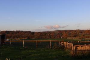 a field with a fence and trees in the background at Mapperton Barn House B&B Nr Stourhead & Longleat in Mere +4 photos