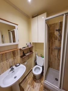 a bathroom with a toilet and a sink and a shower at Le grand calme à deux pas de Paris in Neuilly-sur-Seine