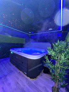 ヤストシェンビャ・グラにあるOśrodek Promenada- Falezaの星空の景色を望む客室で、バスタブが備わります。