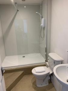 a bathroom with a shower and a toilet and a sink at The Dock Inn in Penzance