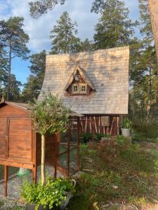 mały dom z dachem szyndelowanym w obiekcie Fairytale tinyhouse near the sea - Häxans hus w mieście Gothem