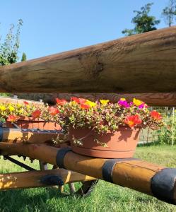 Zahrada ubytování I girasoli