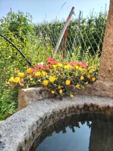 Zahrada ubytování I girasoli