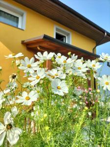 Zahrada ubytování I girasoli