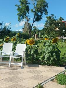 Zahrada ubytování I girasoli