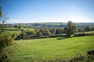 a field of green grass with trees in the distance at Ashbourne Heights Holiday Park in Ashbourne +18 photos
