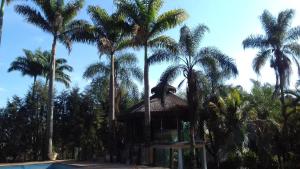 een resort met palmbomen en een zwembad bij Terra Rica Summer House in São Pedro