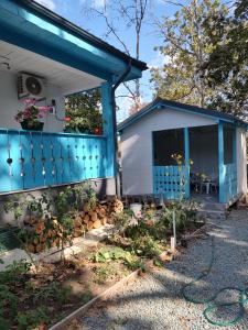 木星市的住宿－Casa Dobrogea，一座带蓝色围栏和庭院的房子