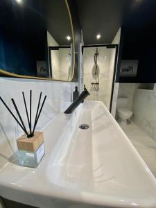 a white bathroom with a sink and a mirror at Charmant gîte au bord de la Sarthe - 3 chambres - 6 personnes in Fillé