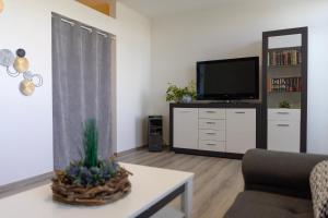 sala de estar con TV, sofá y mesa en Apartmán-Znojmo, en Znojmo
