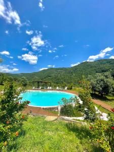 ein Schwimmbad mit Bergen im Hintergrund in der Unterkunft Agriturismo Piano di Andrea in Ostigliano