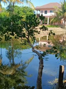 a tree in the water in front of a house at บาคัสโฮมลอร์ด in Haad Chao Samran