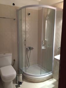 a bathroom with a glass shower with a toilet at Oneiro Studios in Loutra Edipsou +21 photos