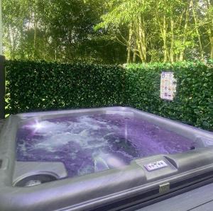 a jacuzzi tub in front of a hedge at Tattershall Lakes Mini Breaks - The Avenue in Lincoln