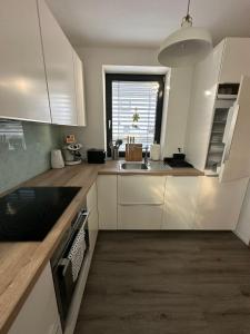 Kuchyň nebo kuchyňský kout v ubytování Apartma Dreamscape + 37 fotografií