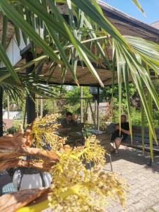 Giardino di FRESH Hotel Kobuleti
